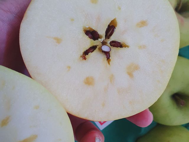 【日本青森 - 名月蘋果6入盒裝】萬中首選的蜜蘋果，免運優惠中