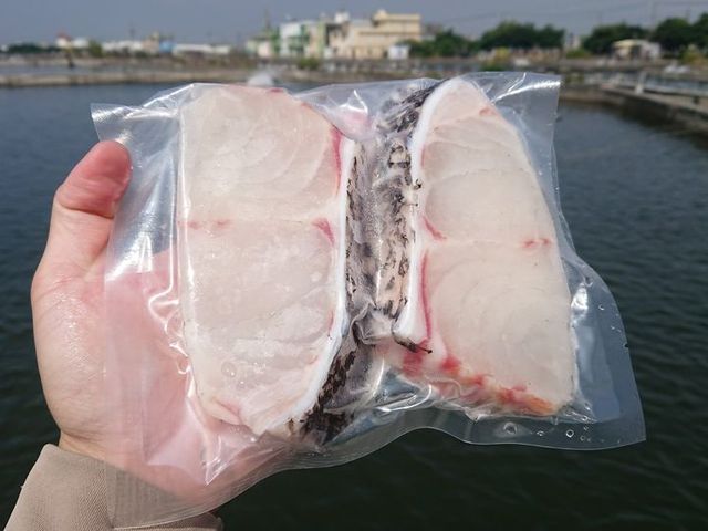 【產銷履歷龍膽石斑 - 魚排300g/包】屏東佳冬專業生態養殖 最安心的石斑魚海鮮