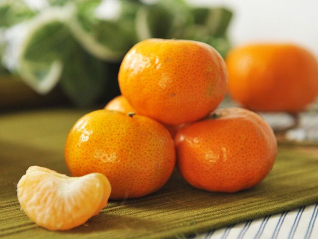 【南投水里 砂糖橘3公斤禮盒裝】顏如橘嗜如糖 果形嬌小的珍稀品種