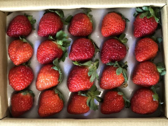 【最經典的滋味 豐香草莓 280gx3盒】鮮甜多汁香氣濃郁 草生栽培孕育的美味