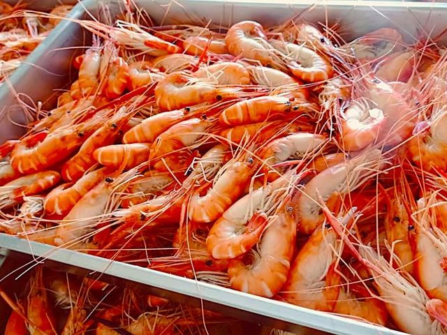 【有鉗真好 - 川香麻辣大頭蝦(小蝦)400g/盒】加熱即食 吃到會上癮的五星級泰國蝦子
