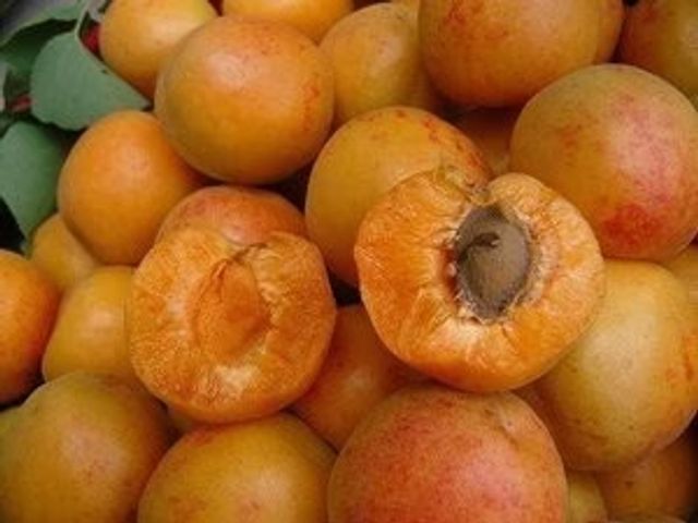 【純杏仁粉】低溫烘焙｜100%純杏仁粉（零添加）