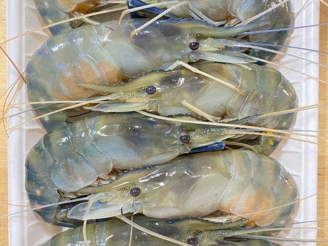 【屏東直送！產銷履歷泰國蝦600g(母蝦)】三代蝦農飼養的高品質蝦子 堅持不用藥！