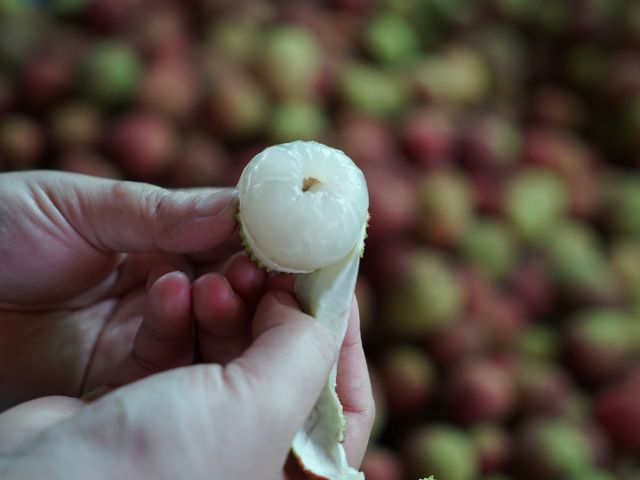 【高雄大樹 外銷日本規格 玉荷包 5斤裝】果大籽小甜度高 來自荔枝的一級產區