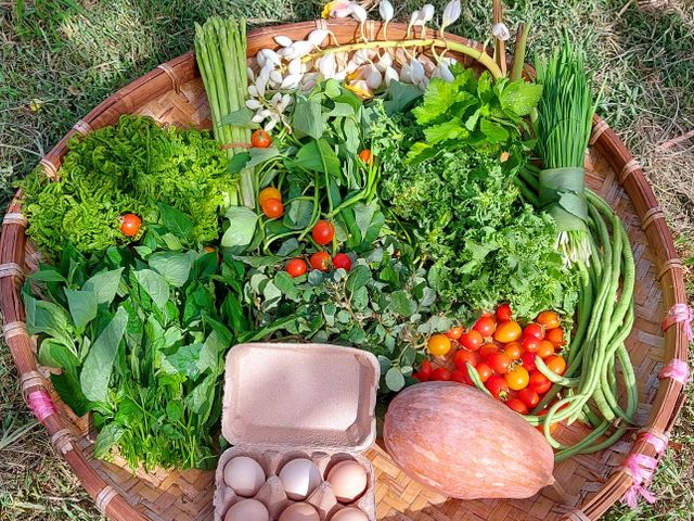 【野菜風味 友善生態蔬菜箱(含水果一份)】4大有機農場協力出貨 讓您感受田野風味