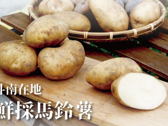 【產季四月初開始！台灣本土種植 彩色馬鈴薯 7斤裝】口感酥軟香甜綿密 無添加抑芽劑