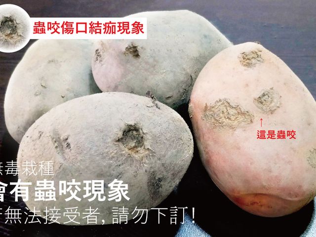 【產季四月初開始！台灣本土種植 彩色馬鈴薯 7斤裝】口感酥軟香甜綿密 無添加抑芽劑