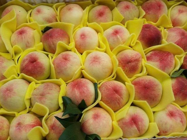 【限量！梨山 入口即化的上海水蜜桃 大果12入(大盒裝)】皮薄汁多 清甜如蜜