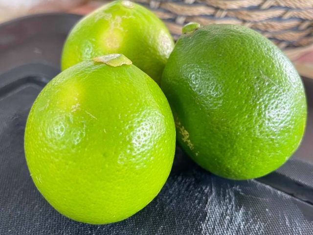 【台中外埔 玉翡翠檸檬5斤裝】可連皮吃的新品種 多種營養全吸收