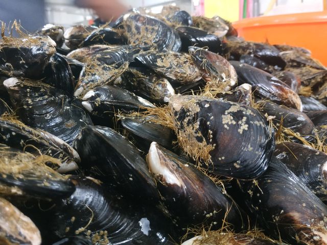 【小島選物包 - 馬祖淡菜3kg+紅糟雙醬組合】活體低溫產地直送海鮮！