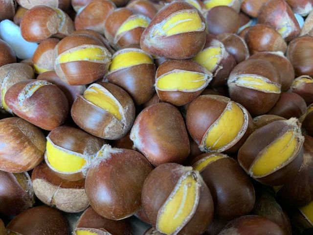 【鬆甜預購 - 阿里山下的黃金板栗鮮果3斤裝(小顆)】台灣本產栗子 顆顆飽滿鬆軟香甜
