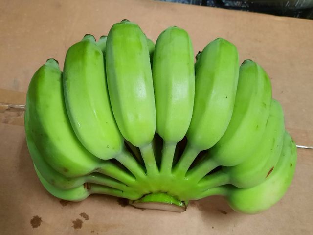 【花蓮安心芭蕉8斤裝×2箱】Q軟有嚼勁的無農藥香蕉！