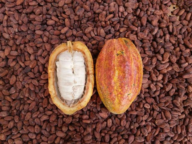 【屏東在地 90%台灣黑巧克力-椰糖風味(40g)】椰糖添加香氣豐 尾韻甘醇濃郁