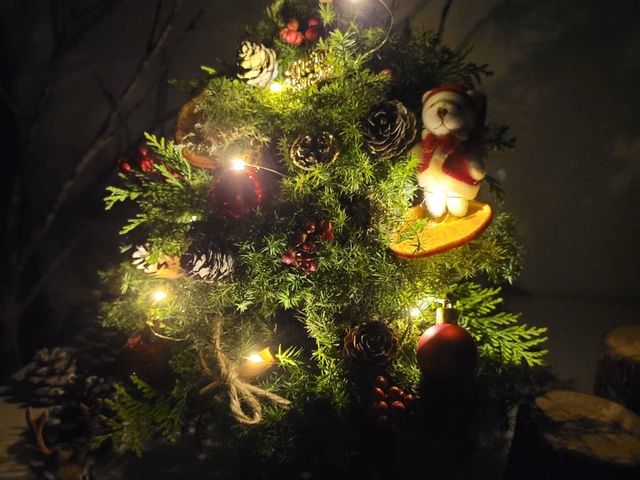 【聖誕精靈。小聖誕樹】(附串燈)聖誕節最佳交換禮物