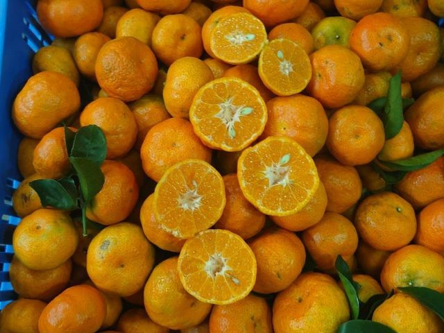 【橘香開賣！拉拉山上的黃金砂糖橘 2盒(3斤裝/盒)】高山種植 香甜多汁 果粒飽滿
