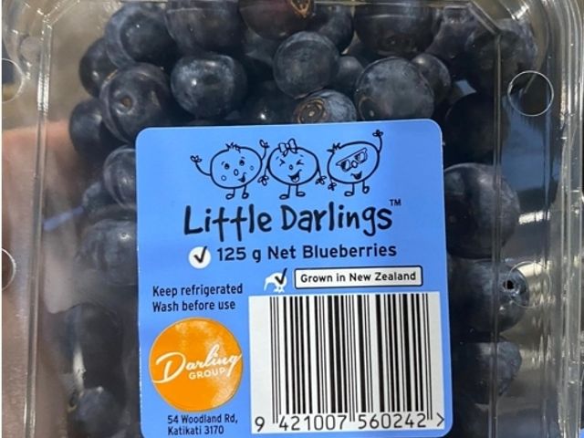 【預購！紐西蘭新鮮空運 藍莓125g×9盒】給你滿滿花青素 byebye阿珠媽