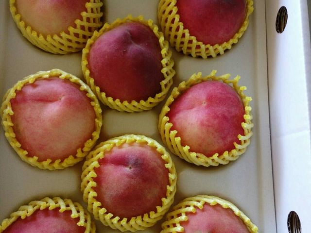 【那瑪夏 桃香濃郁的完熟蜜桃 8顆裝】紅玉桃全區網室栽培 牛奶酵素呵護長大 不輸水蜜桃