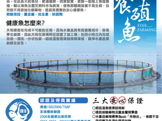 【天和鮮物 海鮸魚排200g】天和澎湖海上箱網純海水養殖