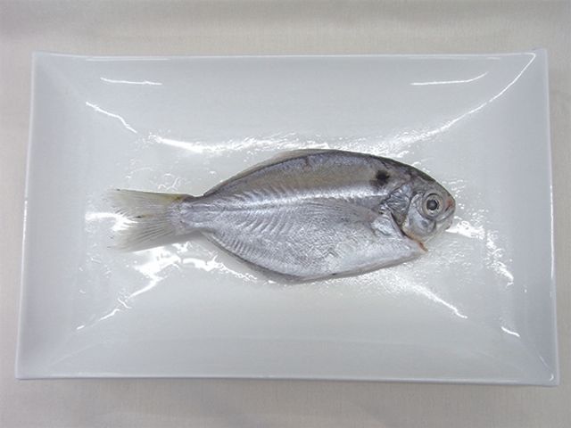 【天和鮮物 澎湖肉鯽300g】平價美味的國民小鯧魚