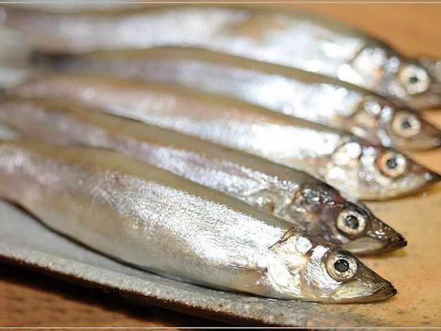 【北海漁鋪 防疫海鮮箱】優質海鮮食材，一次幫您備好好！