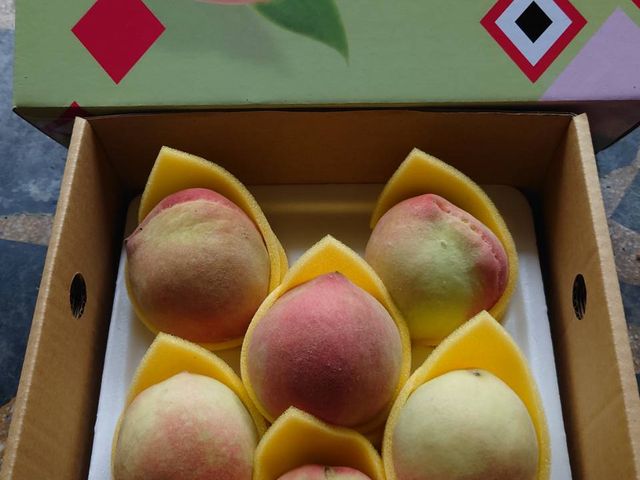 【復興鄉-日系白鳳水蜜桃 8顆裝(2斤2兩)】高山水蜜桃 纖維少 汁多香甜