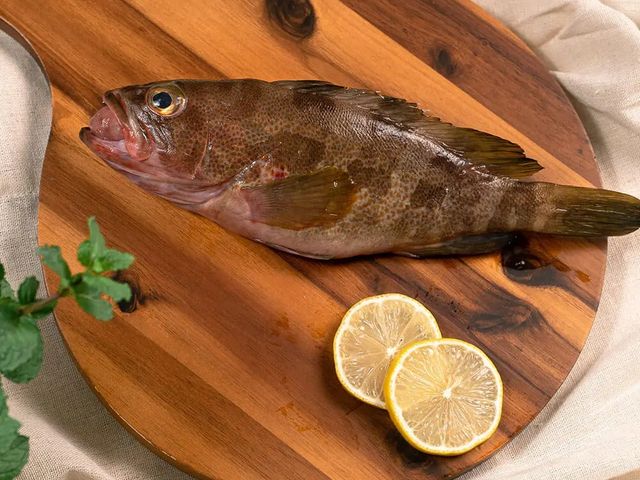 【家常料理魚 野生黃石斑 450~500g】鮮甜海鮮直送你家