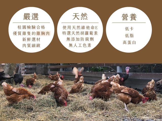 【桂園嚴選 純雞肉鬆(2包)】成份天然純粹的雞肉 是您明智的抉擇