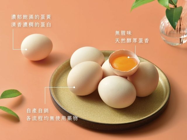 【桂園嚴選 粉殼烏骨雞蛋 4盒】清香濃稠 飽滿扎實