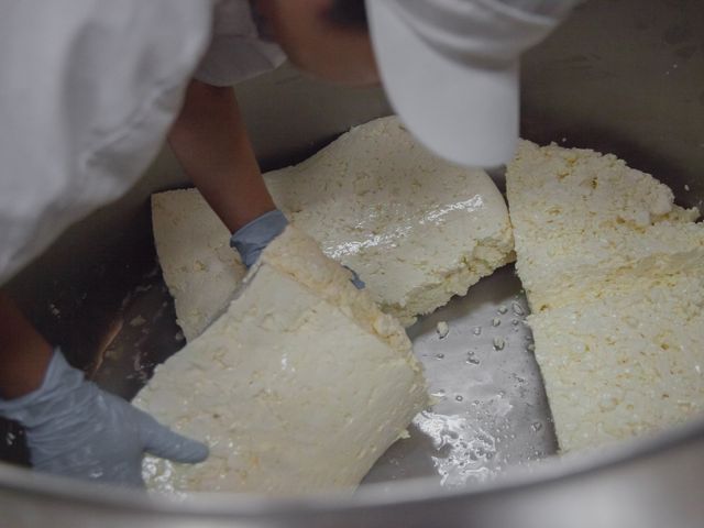 【慢慢弄乳酪坊 莫札瑞拉捲皮150g】台灣食材遇上職人功夫 道地南義風味