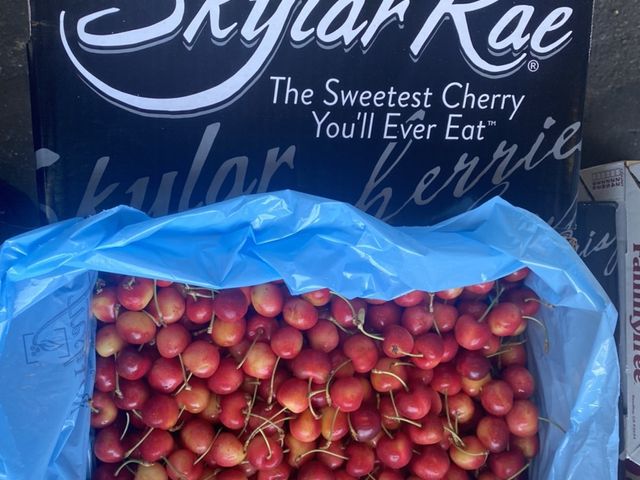 【史上最甜！超稀有華盛頓SKYLAR RAE草莓白櫻桃1kg禮盒(8.5R)】少見夢幻的新白櫻桃專利品種！