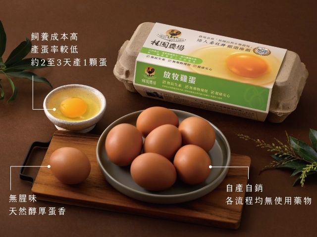 【桂園嚴選 放牧雞蛋 4盒】自由快樂的雞 生出品質更好的蛋