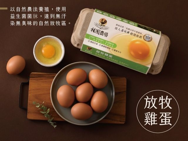 【桂園嚴選 放牧雞蛋 4盒】自由快樂的雞 生出品質更好的蛋
