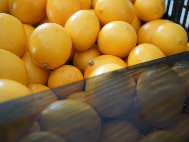 【市場少見~梅爾黃檸檬 4 台斤裝】有花香的黃檸檬 百搭食材