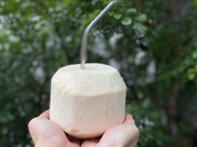 【降火神汁！東南亞蒙古包香水椰子9顆進口原裝箱】清涼消暑熱量低 含膳食纖維