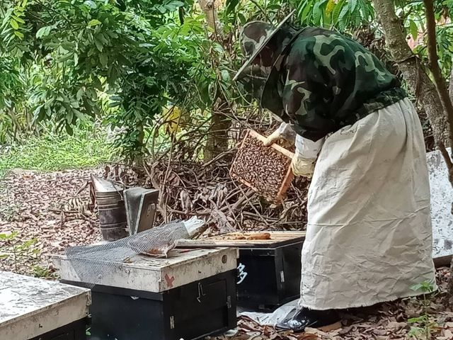 【台灣純正蜂蜜禮盒組(龍眼蜜+百花蜜)】養蜂人生的無添加純蜂蜜