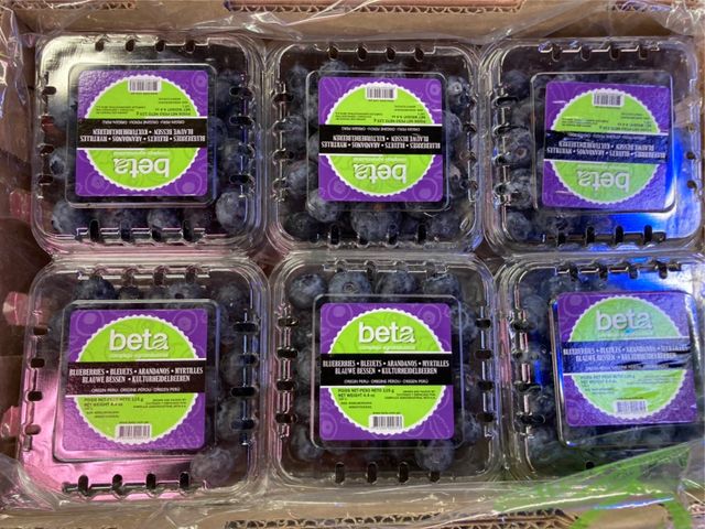 【祕魯 新鮮藍莓125g×6盒】充滿花青素 微酸甜 OL的好伙伴