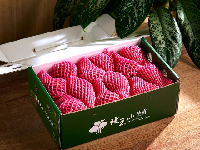 【脆甜開賣！A級精品蓮霧3kg禮盒裝】來自全台最高山產區 當日鮮採直送