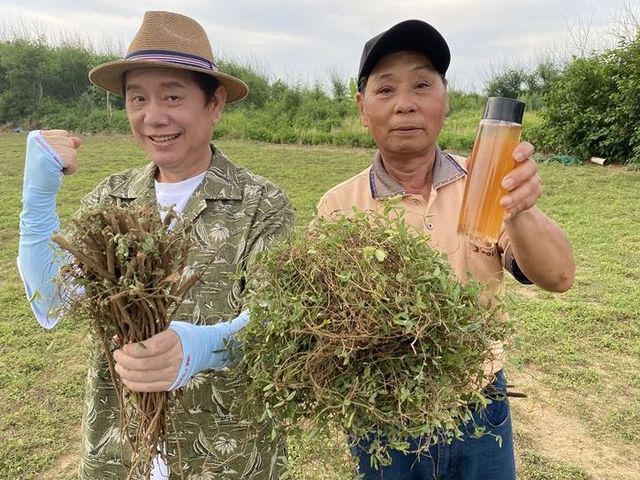 【澎湖太祖堂 - 一條根推拿乳霜100g】來自風寒濕重純淨無污染的澎湖海島