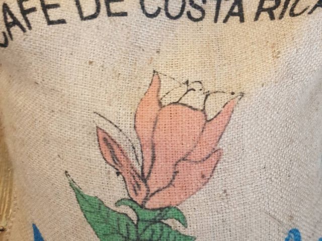 【哥斯大黎加 三水河 木蘭花(水洗) 200g】由火山孕育出的精品咖啡！