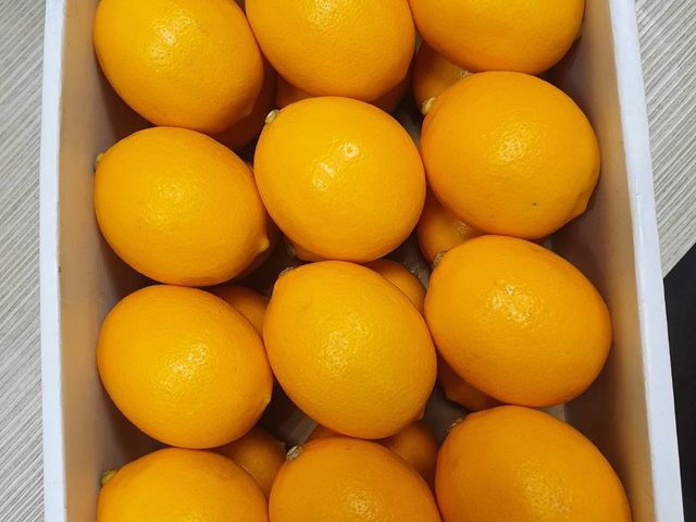 【家‧GAIA - 梅爾檸檬24入禮盒(約3kg)】柑橘與檸檬的唯美口味結合，令人瘋狂的滋味