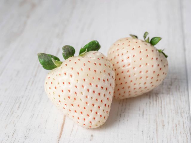 【夢幻登場 有機雪兔白草莓300gx2盒】吃過就讓人念念不忘的絕妙滋味