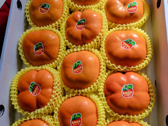 【仙境佳果！梨山日本甜柿12粒裝4.8斤禮盒】高海拔秘境果園的精品甜柿