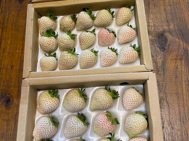 【白富美開賣！友善栽培的雪白草莓箱 (3盒/箱)】甜度高酸度低 稀有白草莓陪您迎新年