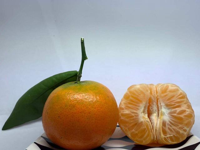【戀橘香！宜蘭員山 福柑(佛利蒙柑)6斤禮盒裝】富有橘子的香氣 甜度高的柑橘