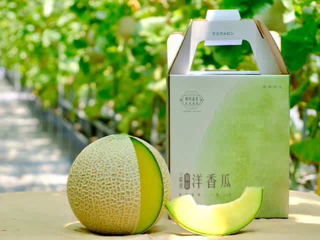 【預購！期間限定 阿露斯洋香瓜單入禮盒(1.8kg/顆)】香甜多汁、最頂級的綠肉哈密瓜