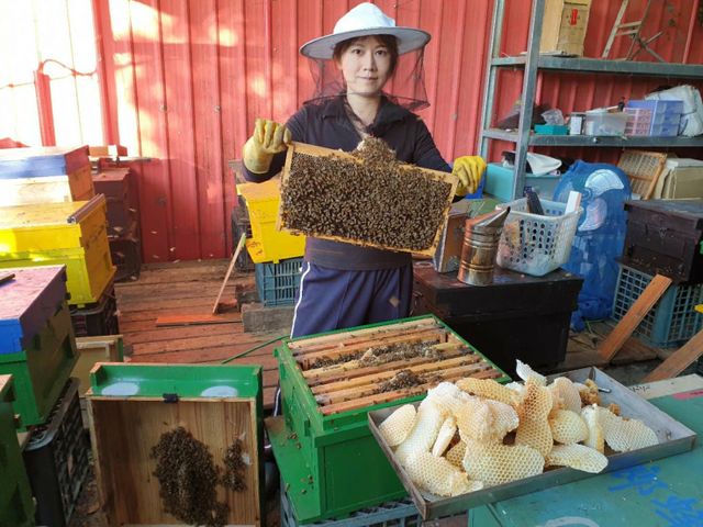 【自然鄉生態蜂園--西洋蜂鴨腳木冬蜜】採自新店翡翠水庫水源保護區山頂