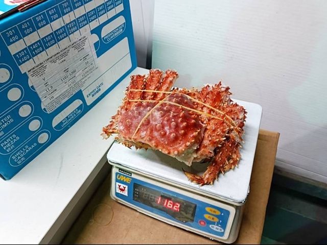 【霸氣開運海鮮！智利熟凍帝王蟹1~1.2kg/隻】煮熟急凍肉鮮味美 年菜螃蟹澎湃上桌