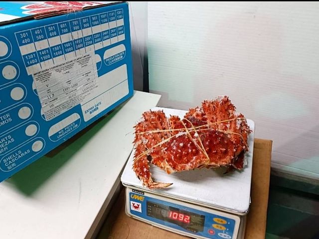 【霸氣開運海鮮！智利熟凍帝王蟹1~1.2kg/隻】煮熟急凍肉鮮味美 年菜螃蟹澎湃上桌