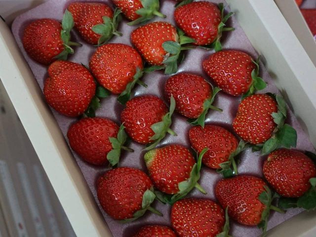 【苗栗銅鑼&大湖 IPM草莓 280gx3盒】維持生態平衡的高品質草莓