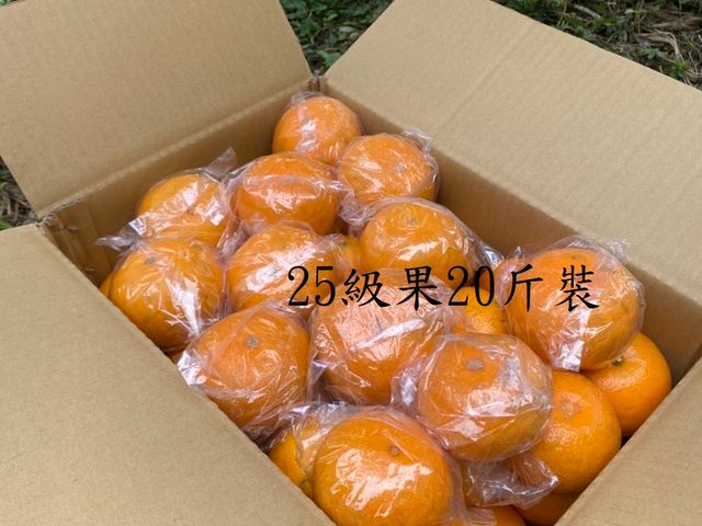 【東勢 茂谷柑整箱20斤散裝(中果)】果肉細緻多汁 甜甜微酸好柑橘
